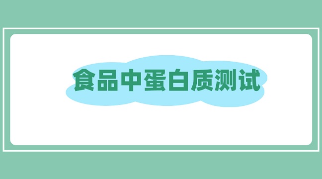 食品中蛋白质测试